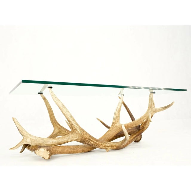 Bone Antler Grouping Base Glass Rectangle Top Coffee Table Folk Art Mid Century Mod For Sale - Image 7 of 13