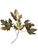 Vintage Metal Wall Art Brass Maple Leaf Wall Sculptures – Pair For Sale - Image 4 of 8