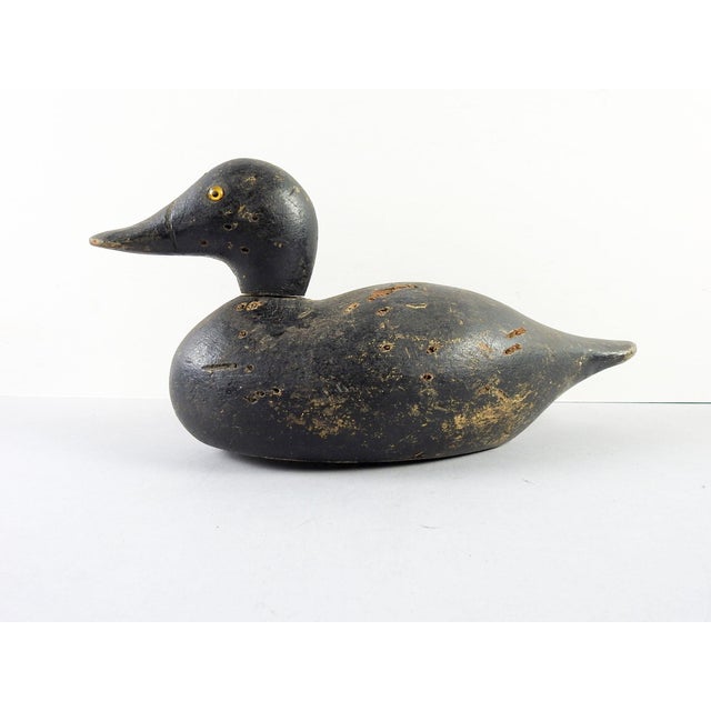 Hand Carved Vintage Black Duck Decoy Chairish