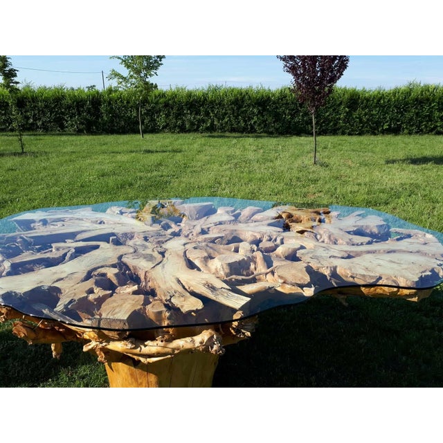 Monumental One-of-a-Kind Sculptural Root Table With Custom Tempered Glass For Sale - Image 4 of 8