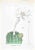 Vincenzo Tenore, The Cacti, Lithograph, 1870s For Sale