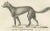 Mid 19th Century Wild and Domestic Dogs, 1836, Lithograph For Sale - Image 5 of 11