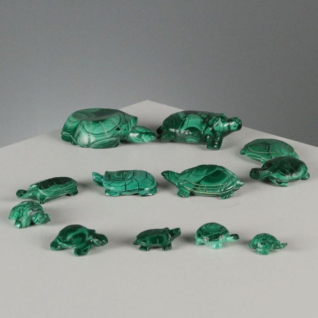 Gemstone Vintage Green Malachite Turtles, Set of 12 For Sale - Image 7 of 7