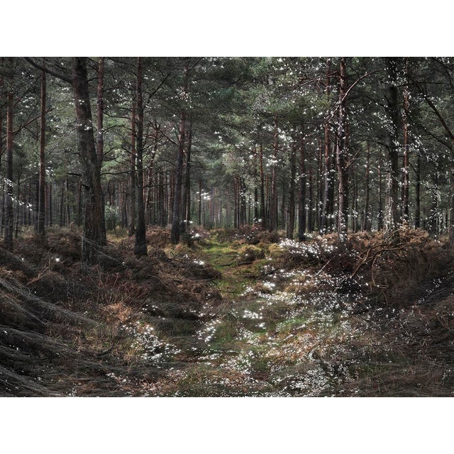 Seascapes 1 is a stunning Digital C-Type Print on Fuj Maxima Matte Paper available in this size in a limited edition of 7...