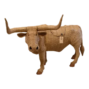 Longhorn Bull by Mario Lopez Torres