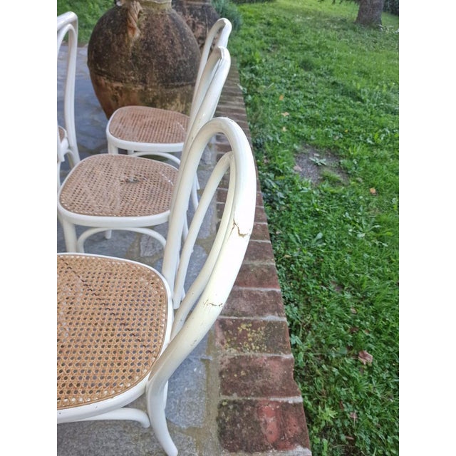 White Bistro Chairs in White Painted Beech and Vienna Straw attributed to Michael Thonet, 1980s, Set of 8 For Sale - Image 8 of 16