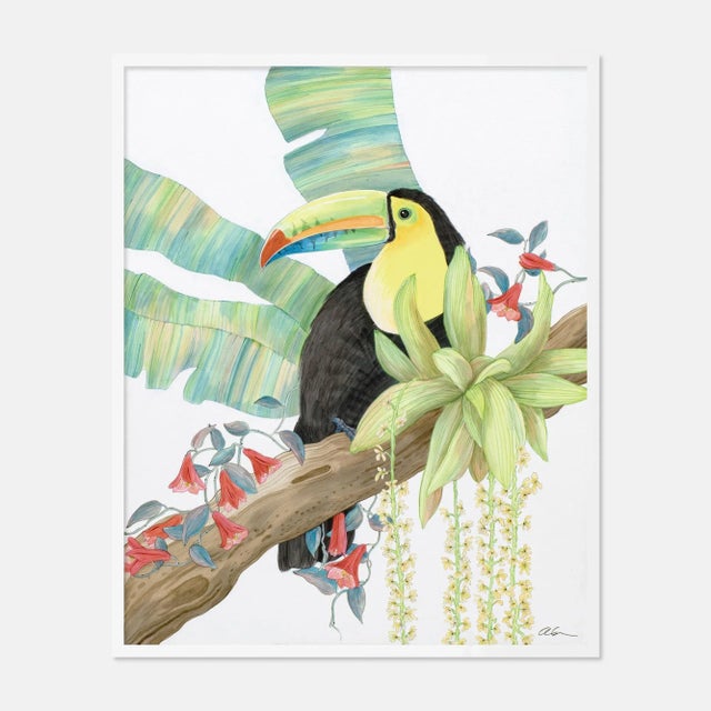 Allison Cosmos Toucan Play at That Game by Allison Cosmos in White Framed Paper, Medium Art Print For Sale - Image 4 of 4
