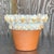 Bring the serene beauty of the coast into your home with this Vintage Coastal Shell Encrusted Flower Pot. Adorned with...