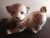 Ceramic 1987 Franklin Mint the Imperial Puppy of Satsuma Figurine For Sale - Image 7 of 8