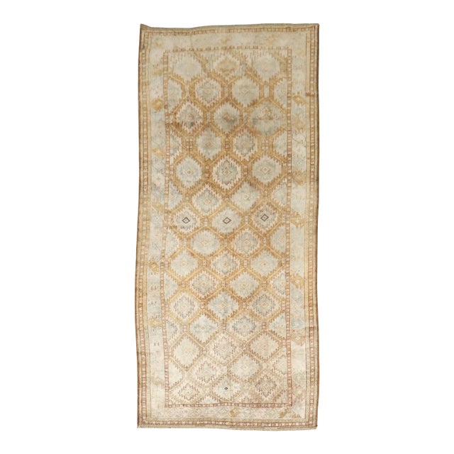 Early 20th Century Zabihi Collection Geometric Beshir Turkeman Gallery Size Rug - 5'2" x 11'5" For Sale