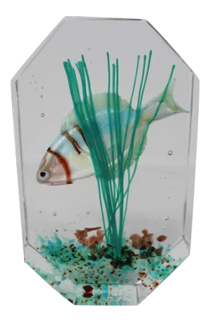 Murano Glass Aquarium by Costantini