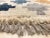 Vintage Baluch Rug For Sale - Image 8 of 16