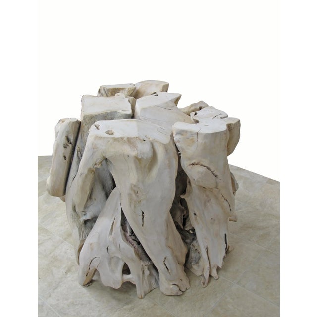 2010s Contemporary Organic Modern Teak Root Sculpture For Sale - Image 5 of 10