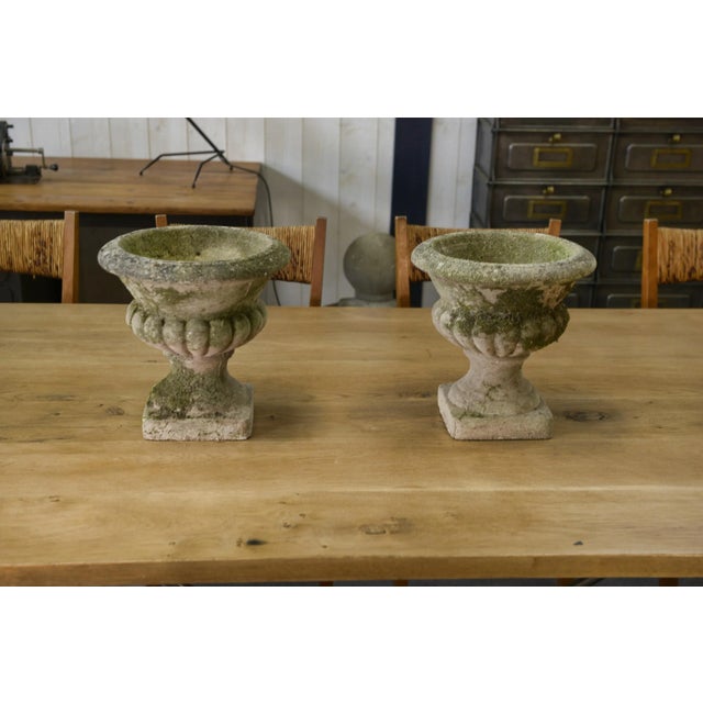 Medici Vases in Reconstituted Stone, 1950s, Set of 2 For Sale - Image 4 of 12