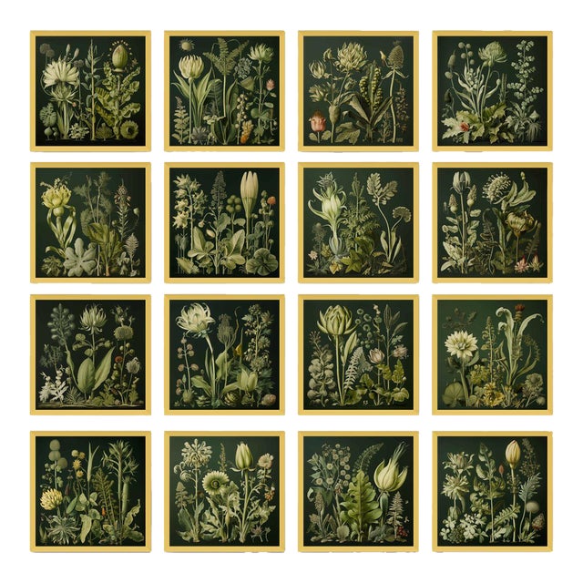 64' X 64' - Set of 16 High End Framed Gallery Wall Original Botanical Prints - Dark Green Grisaille For Sale