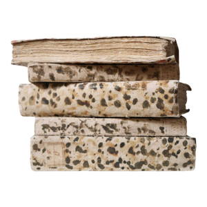 18th Century Venetian Book Collection- Set of 5