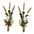 Mid 19th Century Hollywood Regency Italian Gilt Wheat Sheaf Wall Sconces – a Pair For Sale