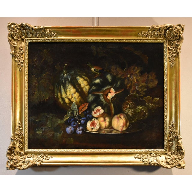 Franz Werner Von Tamm, Still Life with Fruit, 1700, Oil on Canvas, Framed For Sale - Image 13 of 13