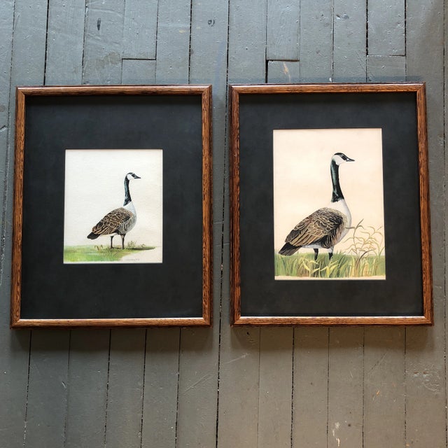 Brown Vintage Original Watercolors Canadian Geese Originals a Pair For Sale - Image 8 of 8