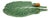 Bordallo Pinheiro Cabbage Leaf With Snail Plate, Green For Sale