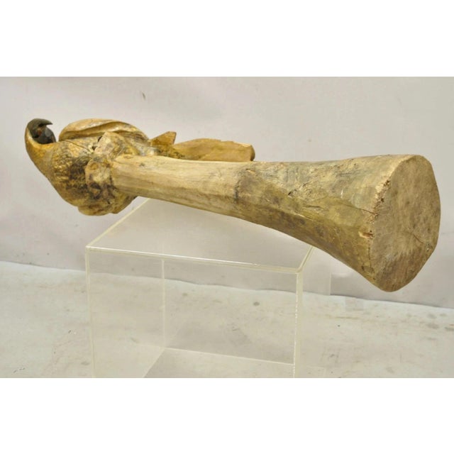 Large 46" Vintage Mid Century Carved Wood Perched Parrot Bird Statue Sculpture For Sale - Image 10 of 11