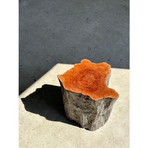 Set of Lychee Stools Forming a Coffee Table For Sale - Image 5 of 18