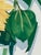 Sally Baker Sunflowers in Vase I/P Artwork, Signed For Sale - Image 9 of 12