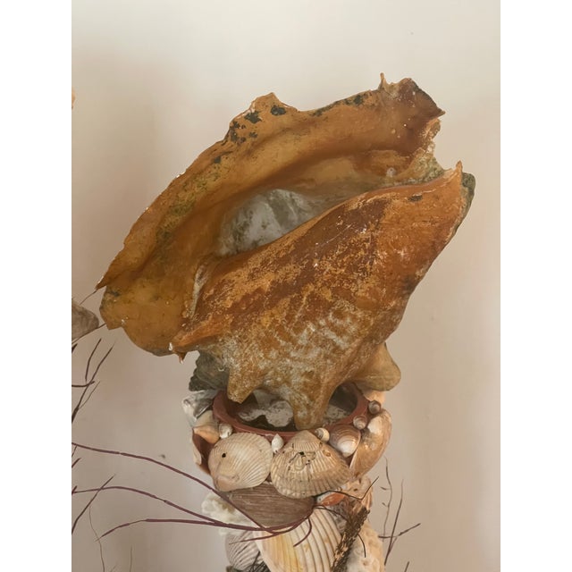Antique Grotto Sea Shell Candlesticks With Antique Bahamas Conch Shells For Sale - Image 4 of 9