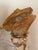 Antique Grotto Sea Shell Candlesticks With Antique Bahamas Conch Shells For Sale - Image 4 of 9