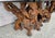 Vintage Sculptural Natural Burlwood Root Dining Table With Rectangular Glass Top For Sale - Image 14 of 18