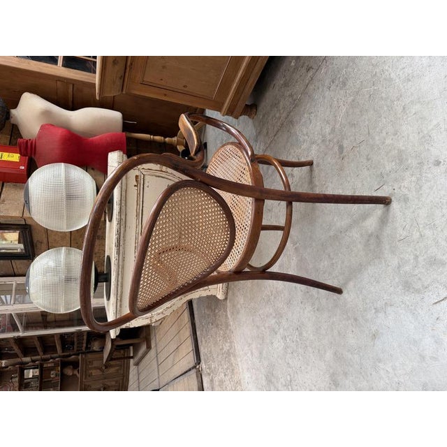 Wood Bentwood and Beech Armchair from DLG Thonet For Sale - Image 7 of 11