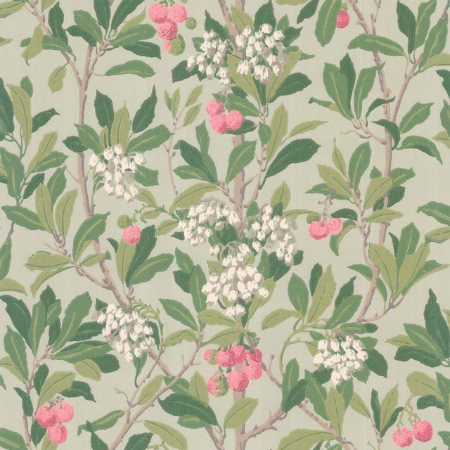 Cole & Son Strawberry Tree Classic Botanical Style Wallpaper Sample
