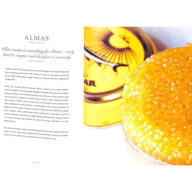 BOECKMANN, Susie & REBEIZ-NIELSEN, Natalie [160] pp John Wiley & Sons, Inc. 2000 11 1/4" x 9" THE DEFINITIVE GUIDE TO...