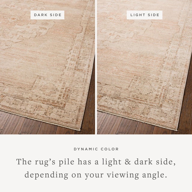 Textile Chris Loves Julia x Loloi Palma Spice / Natural 11'-6" x 15'-7" Area Rug For Sale - Image 7 of 7