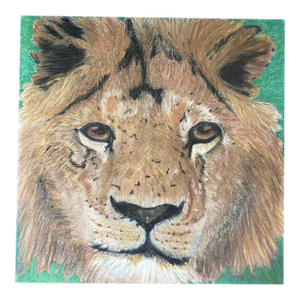 The Lion Folk Art Style Drawing