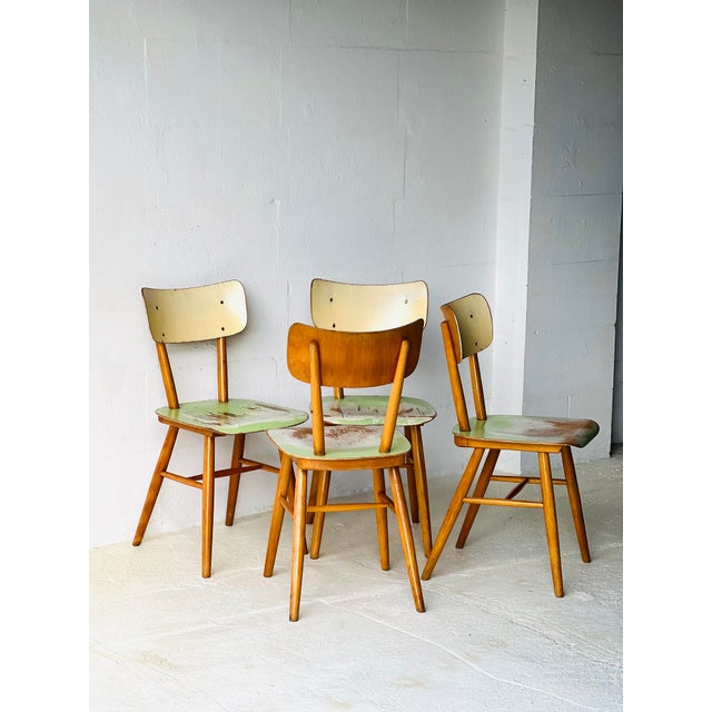 Dining Chairs from Ton, 1960, Set of 4 For Sale - Image 13 of 18