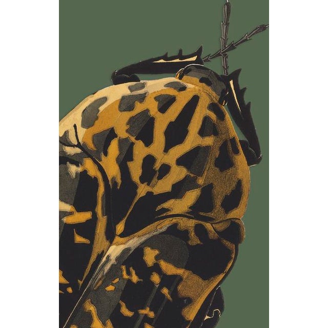 The series was produced by CFA editions from original pochior prints by E.A. Seguy. The series of insects that Seguy...