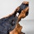 Wood Burl Wood, Japan, 1950s For Sale - Image 3 of 12