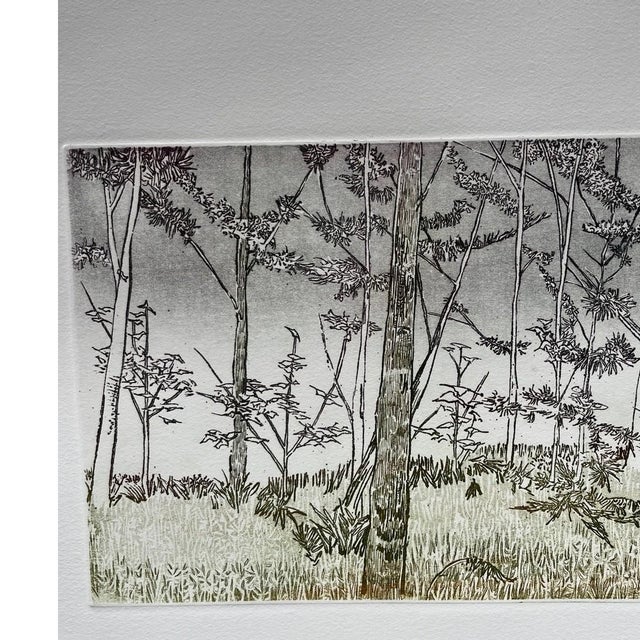 Late 20th Century Ruth Leaf "Ballet for 26 Trees" Large Etching 29x22 Original Studio Print Rives For Sale - Image 4 of 7