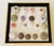 Great collection of Natures beauty sea shells, natural marine specimens.