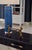 Wildwood Wildwood Brass Dachshund Dogs Holding a Tray For Sale - Image 4 of 6