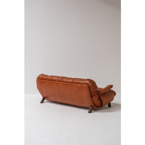 Brown 3-Seater Lounge Sofa by E. Cobianchi for Insa, Italy, 1970s For Sale - Image 8 of 18