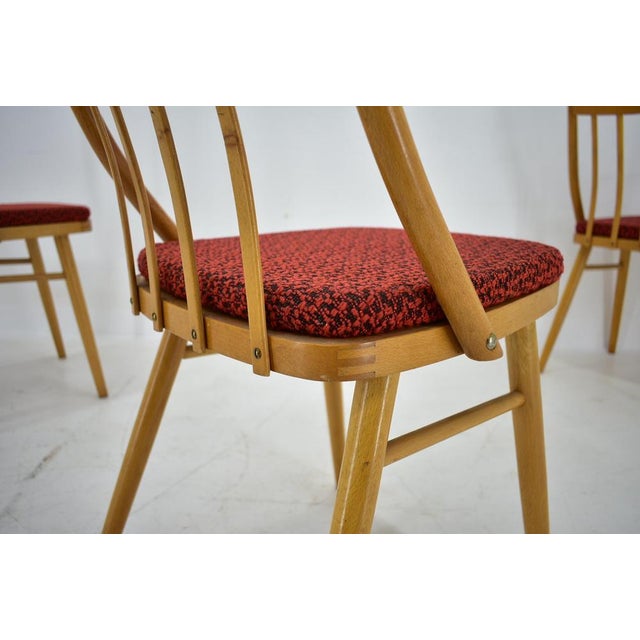 Wood Beech Dining Chairs by Antonin Suman, 1960s, Set of 4 For Sale - Image 7 of 15