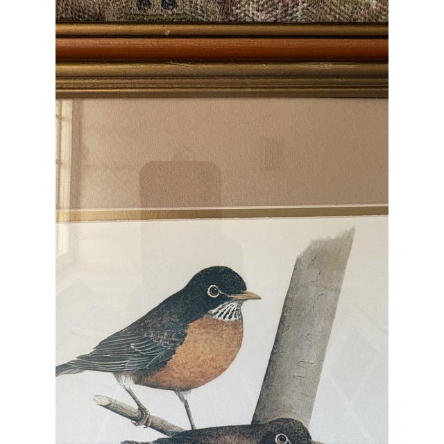 Late 20th Century Vintage Robin Bird Reproduction Print Michael James Riddet Ornithology Wall Art Wood Frame For Sale - Image 5 of 14