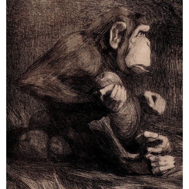 Modern Paul Jouve, The Judgment of Paris, 1897, Lithograph on Paper For Sale - Image 3 of 10