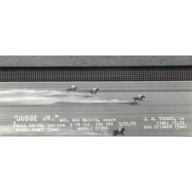 Traditional 1965 Judge Junior at Marble Downs Equestrian Photograph For Sale - Image 3 of 3