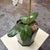 Savage London Painted Tole Canister + Faux Orchid Arrangement, 19th-Century For Sale - Image 12 of 12