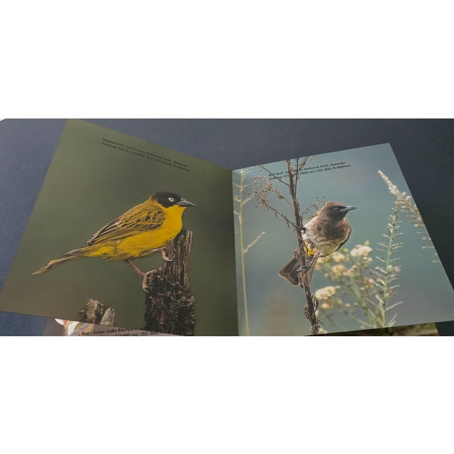 Whispers in the Wind a Tweet From the Wild For Sale - Image 9 of 17