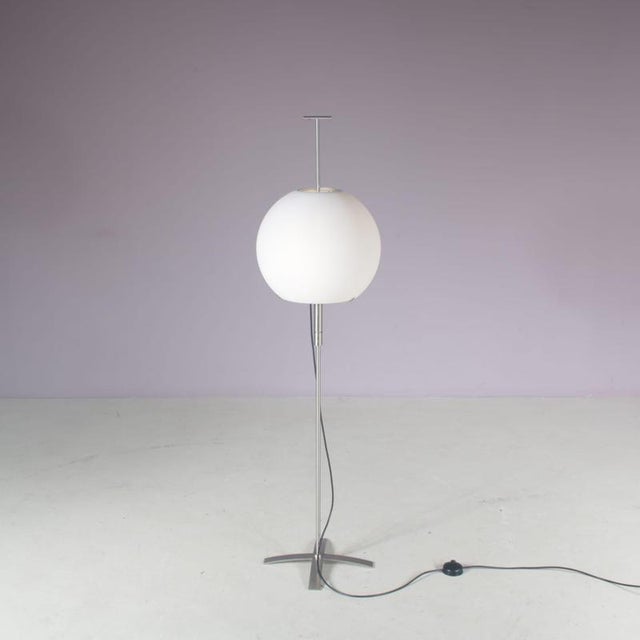 Gray Floor Lamp 3680 by Ligne Roset, France, 2000s For Sale - Image 8 of 15
