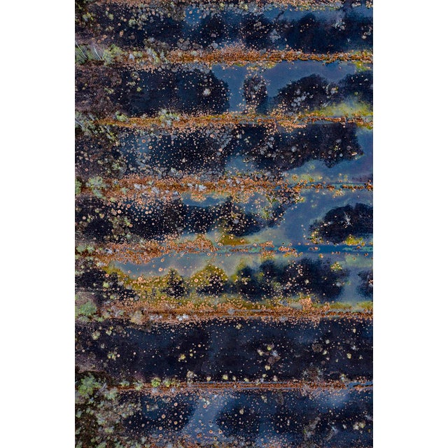 "The_Bog_Renatured_001" Contemporary Limited Edition Fine Art Photograph Print by Bernhard Lang For Sale